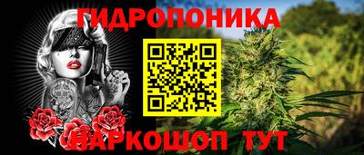 прущие крисы Лесосибирск